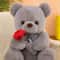 Romantic Teddy Bear With Roses Plush Gift For Her Valentine Anniversary Surprise 8