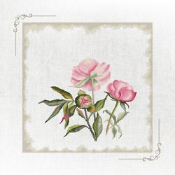 botanical garden series: classic peonies cross stitch pattern - instant download