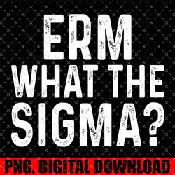 funny erm what the sigma meme