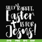 FN00050-Silly rabbit Easter is for Jesus svg, png, dxf, eps file FN00050.jpg