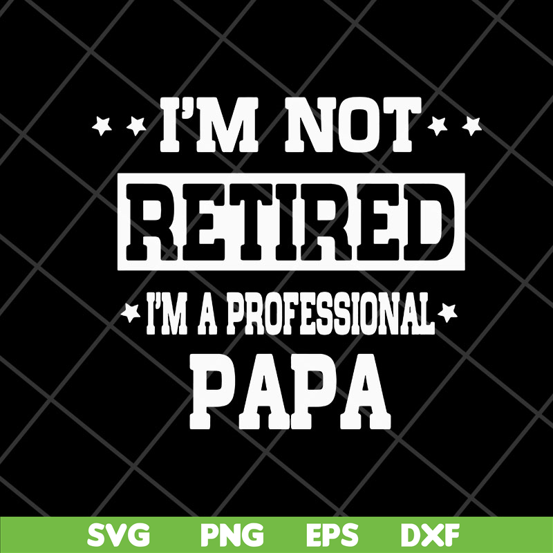 FTD04052112-Im not retired im a professional papa svg, Fathers day svg, png, dxf, eps digital file FTD04052112.jpg
