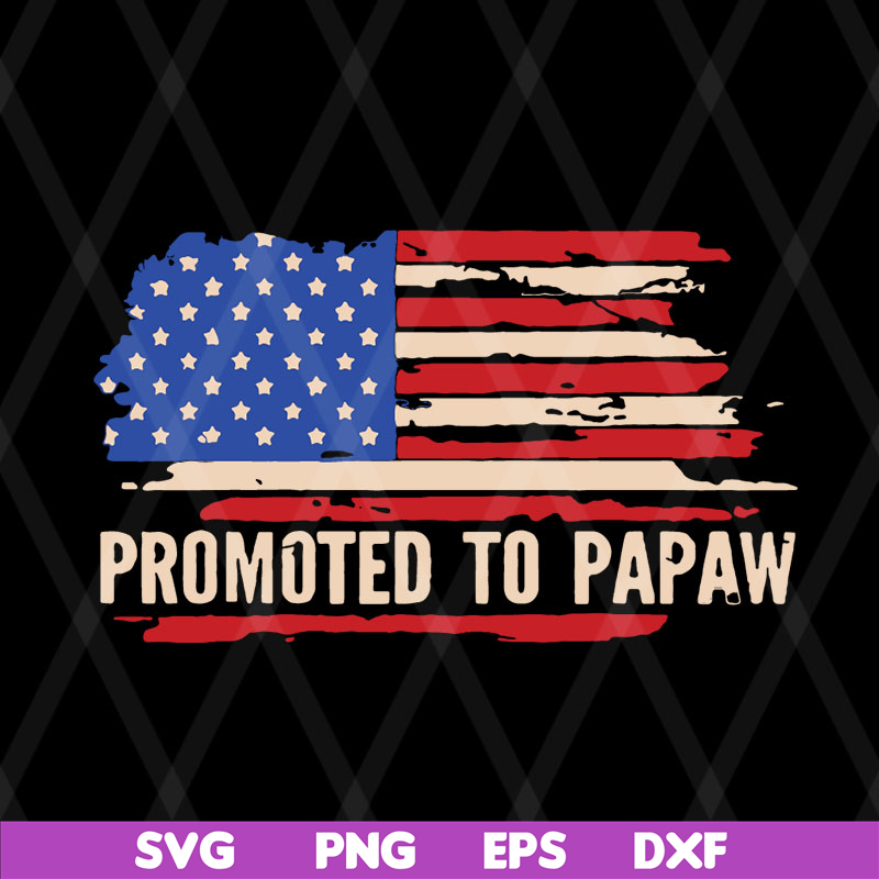 FTD08062119-Promoted to papaw American flag father’s day 2021 svg, png, dxf, eps digital file FTD08062119.jpg