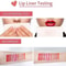 Waterproof Lip Liner Set Long Lasting Matte Lipstick Lip Pencil Lip Pen Set Smooth Texture 5