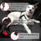 Adjustable Cat Dog Pet Safety Seatbelt Car Vehicle Seat Belt Harness Lead TangleFree Durable Design 1
