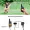 Waterproof Remote Dog Shock Training Set 2 Collars LCD Rechargeable Pet Trainer 0