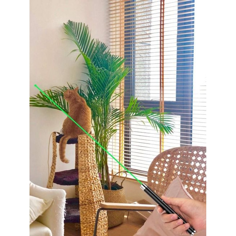 Laser Pointer Pen Set Green Blue Red Light Visible Beam MultiUse For Pets Meetings And Fun 6