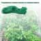 Anti Bird Netting Protection For Fruit Trees Plants Vegetables Garden Mesh 6