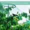 Anti Bird Netting Protection For Fruit Trees Plants Vegetables Garden Mesh 14