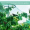 Anti Bird Netting Protection For Fruit Trees Plants Vegetables Garden Mesh 14