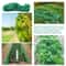 Anti Bird Netting Protection For Fruit Trees Plants Vegetables Garden Mesh 15
