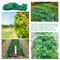 Anti Bird Netting Protection For Fruit Trees Plants Vegetables Garden Mesh 15