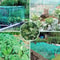 Anti Bird Netting Protection For Fruit Trees Plants Vegetables Garden Mesh 17