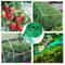 Anti Bird Netting Protection For Fruit Trees Plants Vegetables Garden Mesh 0