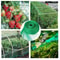 Anti Bird Netting Protection For Fruit Trees Plants Vegetables Garden Mesh 0