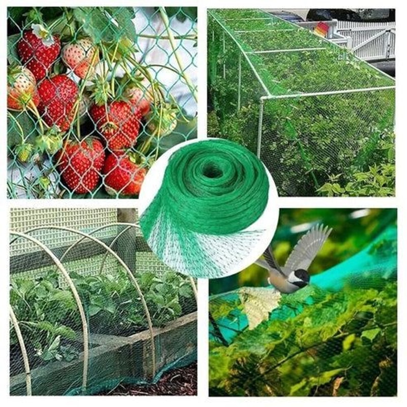 Anti Bird Netting Protection For Fruit Trees Plants Vegetables Garden Mesh 0