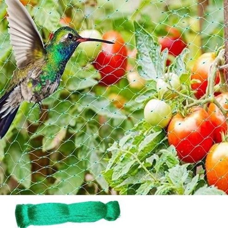 Anti Bird Netting Protection For Fruit Trees Plants Vegetables Garden Mesh 9
