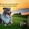 Remote Dog Training Shock Collar Waterproof For Small Medium Large Dogs Long Standby Vibration Tone 1