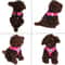 Adjustable Cat Dog Harness Reflective Control Vest Leash For Dogs Pet Safety 14