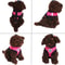 Adjustable Cat Dog Harness Reflective Control Vest Leash For Dogs Pet Safety 14