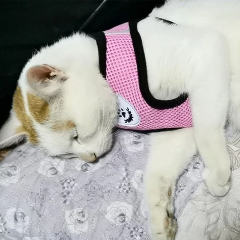 Adjustable Cat Dog Harness Reflective Control Vest Leash For Dogs Pet Safety 10