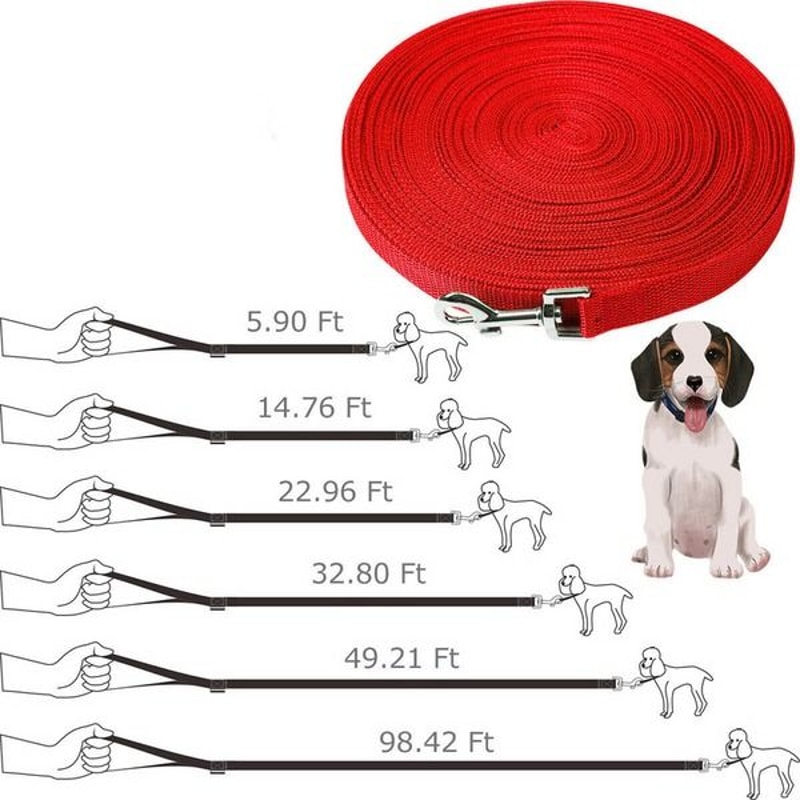 Recall Dog Leash Long Obedience Training Lead 2