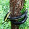Lifelike Real Scary Fake Snake Rubber Toy For Prank Halloween Party Joke Garden Prop 5