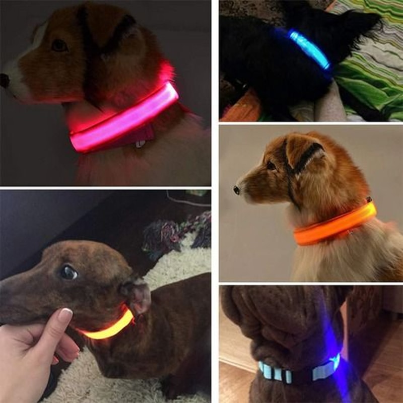 Waterproof LED Dog Collar Blinking Flashing Light Up Glow For Pets Adjustable Enhanced Safety At Ni 4
