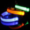 Waterproof LED Dog Collar Blinking Flashing Light Up Glow For Pets Adjustable Enhanced Safety At Ni 5