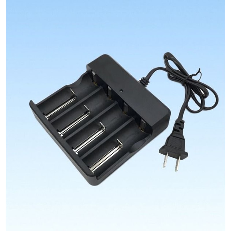 Liion Lithium Smart Charger For Batteries 0