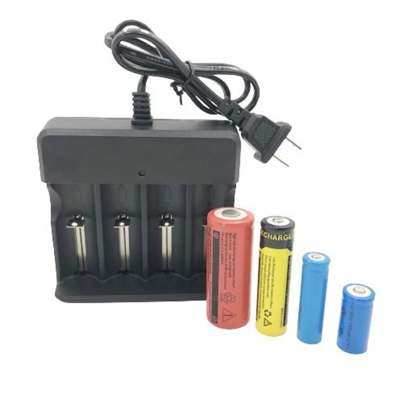 Liion Lithium Smart Charger For Batteries 2