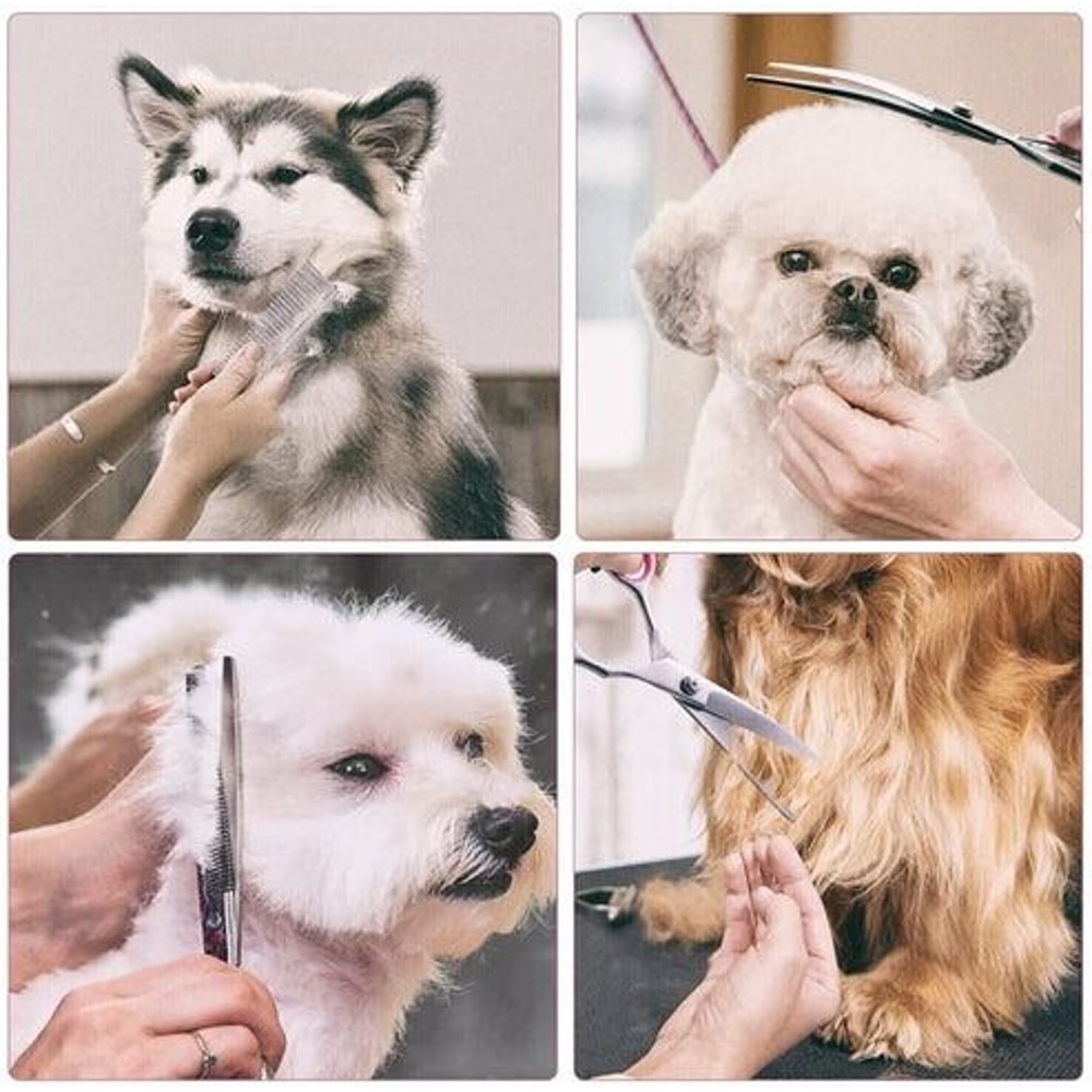 Stainless Straight Curved Thinning Shears Trimmer Kit Pet Dog Grooming Scissors Set For Grooming Ca 11