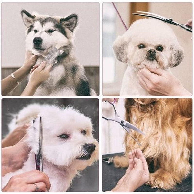 Stainless Straight Curved Thinning Shears Trimmer Kit Pet Dog Grooming Scissors Set For Grooming Ca 11