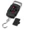 LCD Digital Portable Fish Scale Hanging Luggage Weighing Scale Capacity Accurate And Durable With A 12