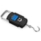 LCD Digital Portable Fish Scale Hanging Luggage Weighing Scale Capacity Accurate And Durable With A 6