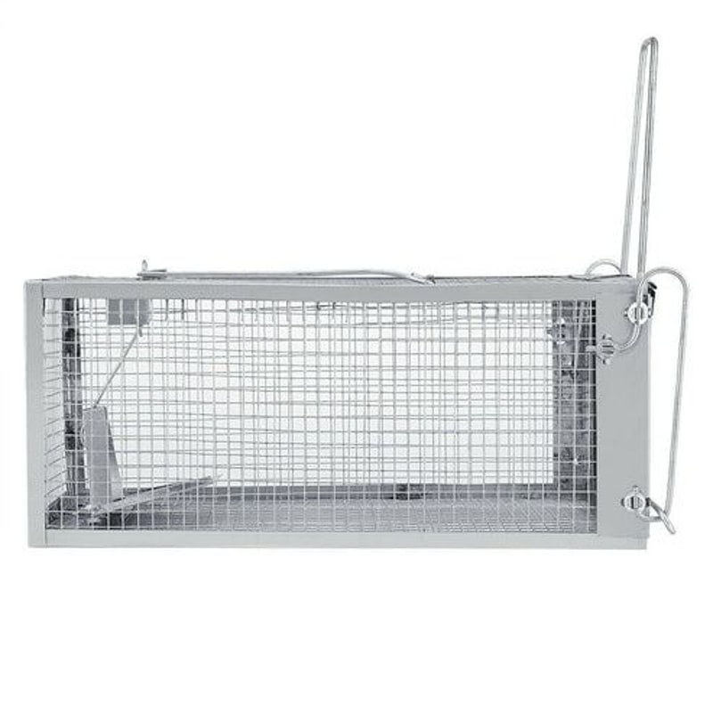 Live Catch Cage Mouse Trap Rat Trap Rodent Trap Easy To Set Up And Reuse Humane Galvanized Steel 7