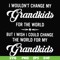 FN000332-I wouldn't change my grandkids for the world but I wish I could change the world for my grandkids svg, png, dxf, eps file FN000332.jpg