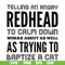 FN000433-Telling an angry redhead to calm down works about as well as trying to baptize a cat svg, png, dxf, eps file FN000433.jpg