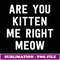 Kien  Are You Kien Me Righ Now Ca Lover Gif - Special Edition Sublimation PNG File