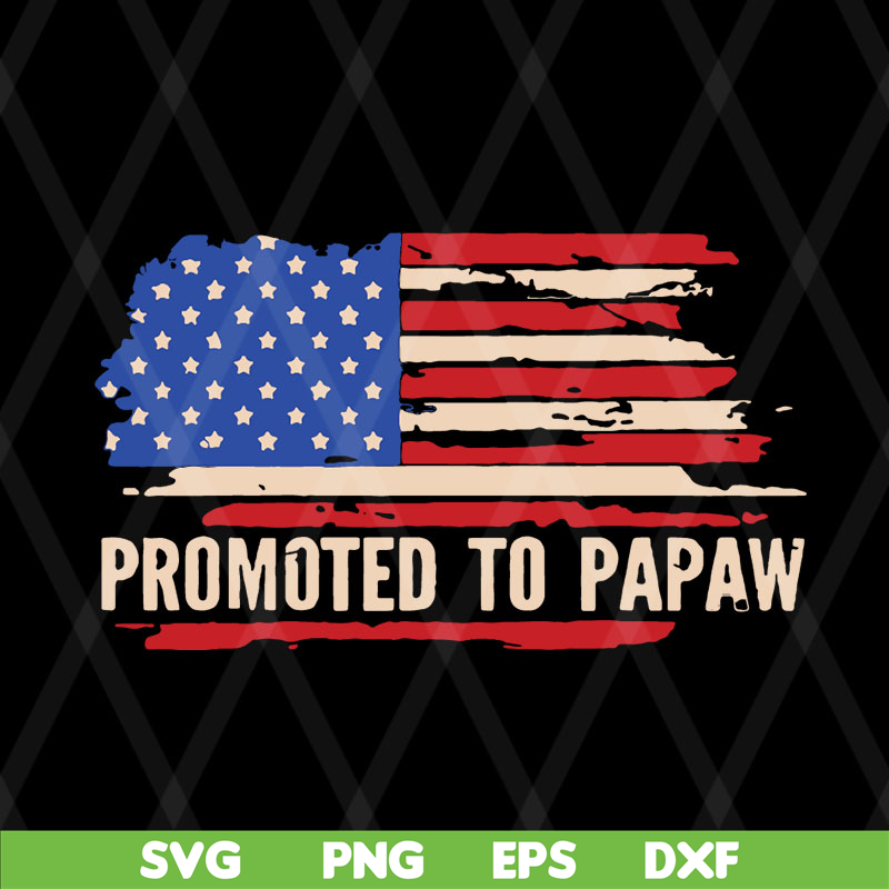 FTD08062119-Promoted to papaw American flag father’s day 2021 svg, png, dxf, eps digital file FTD08062119.jpg