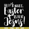 FN00050-Silly rabbit Easter is for Jesus svg, png, dxf, eps file FN00050.jpg