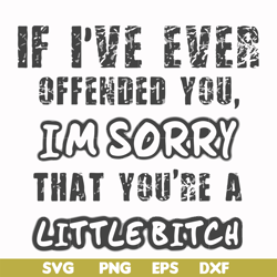 if i've ever offended you im sorry that you're a little bitch svg, png, dxf, eps file fn000662