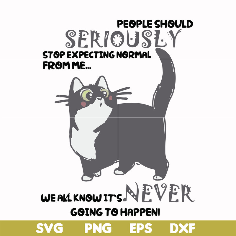 FN000123-People should seriously stop expecting normal from me we all know it's never going to happen svg, png, dxf, eps file FN000123.jpg