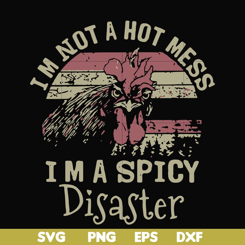 FN000129-I'm not a hot mess I'm a spicy disaster svg, png, dxf, eps file FN000129.jpg