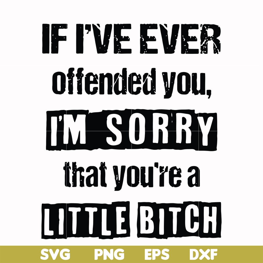 FN000663-If I've ever offended you Im sorry that you're a little bitch svg, png, dxf, eps file FN000663.jpg