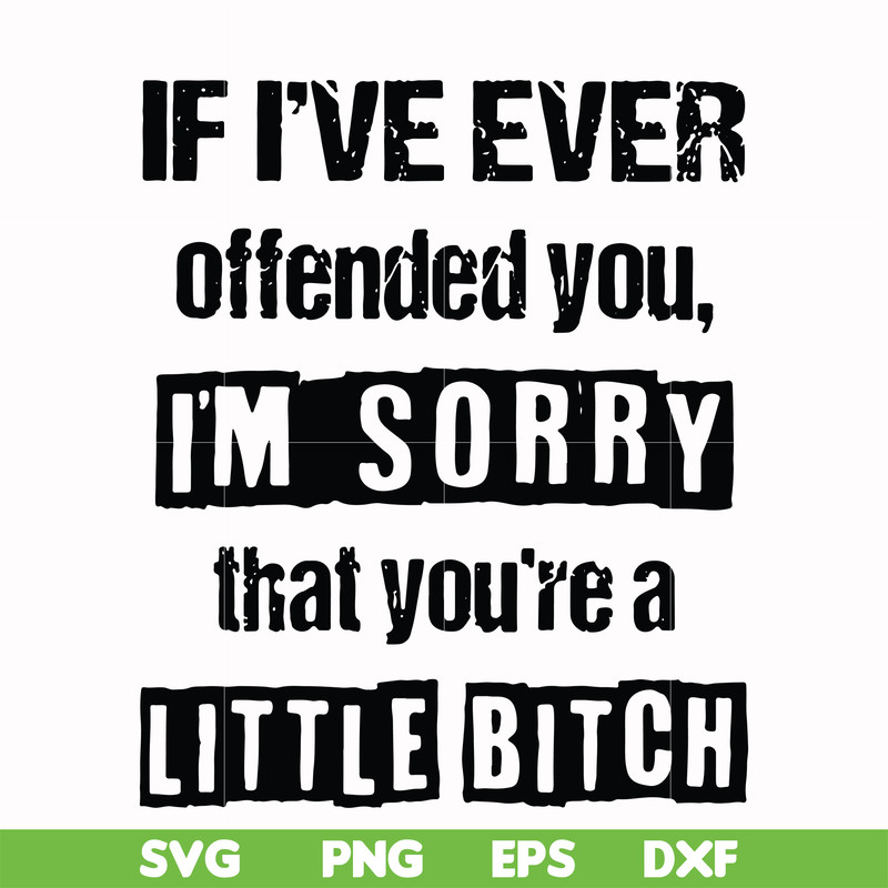 FN000663-If I've ever offended you Im sorry that you're a little bitch svg, png, dxf, eps file FN000663.jpg