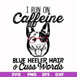 i run on caffeine blue heeler hair cuss words svg, png, dxf, eps file fn00026
