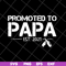 FTD28042118-Promoted to papa 2021 svg, Fathers day svg, png, dxf, eps digital file FTD28042118.jpg