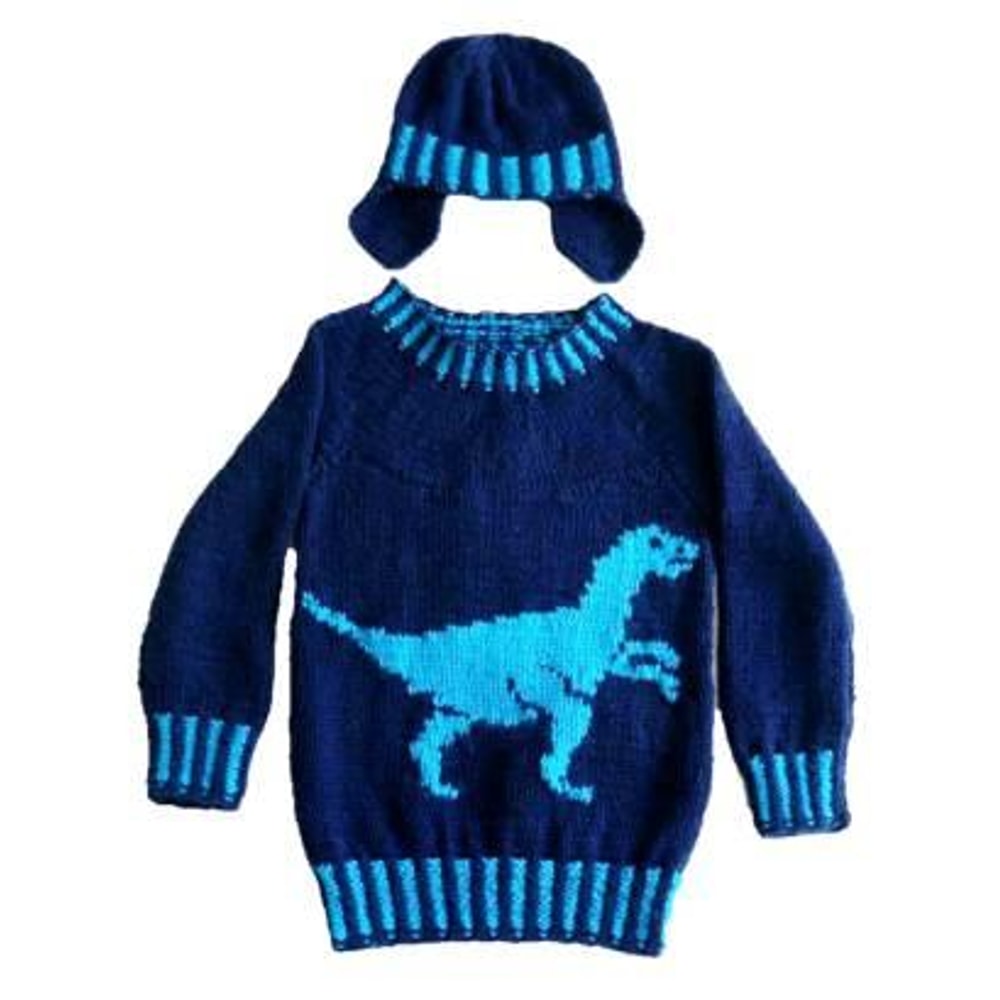 Front Sweater - Copy (2018_09_10 12_51_24 UTC).jpg