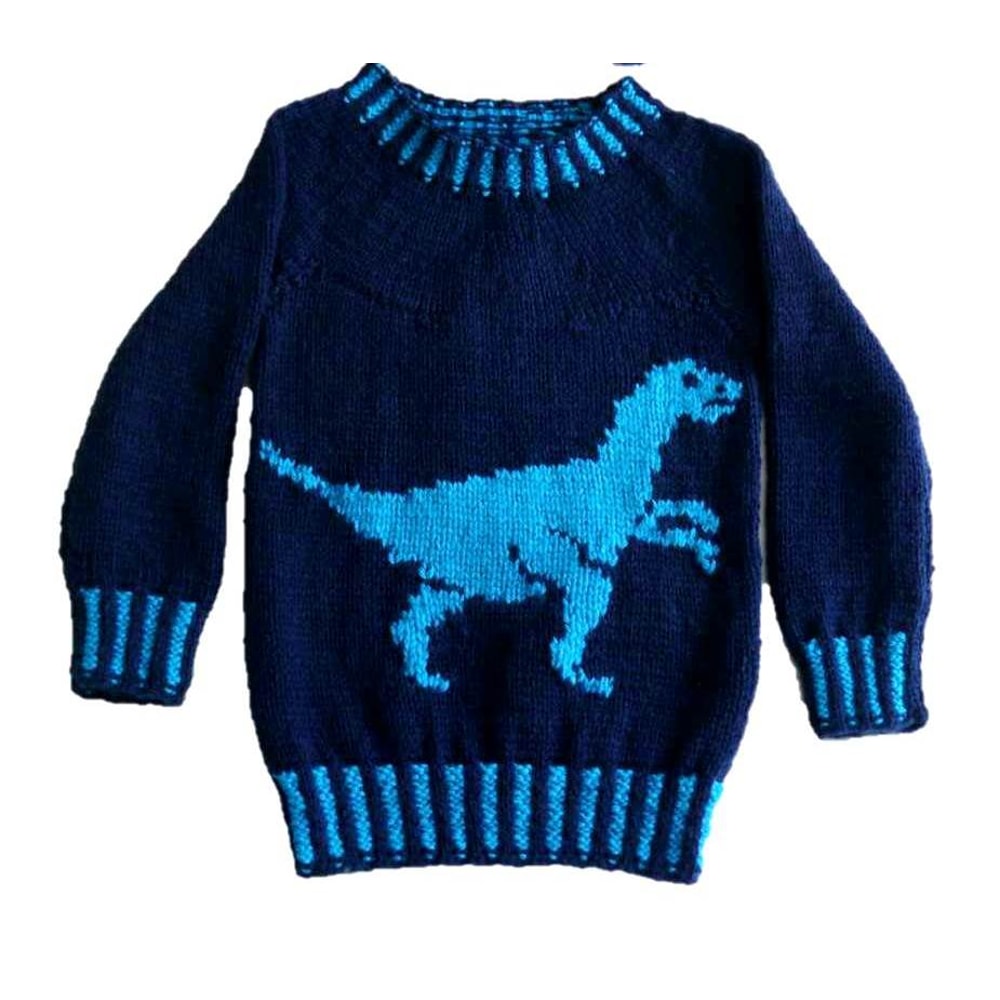 Front Sweater only (2018_09_10 12_51_24 UTC).jpg