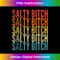Vintage Don't Be Such A Salty Bitch Sarcastic Offensive 1 - Sublimation-Ready PNG File